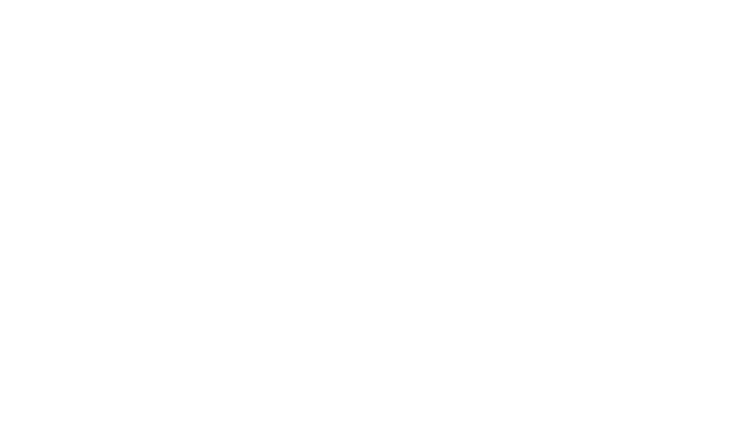 BOSS-INTERNATIONAL-TRANSPORTE